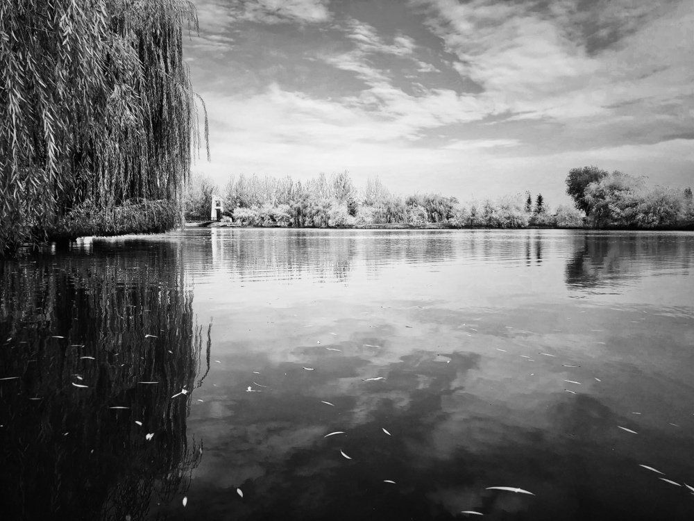 Photograph by Ilyas Adilbayev