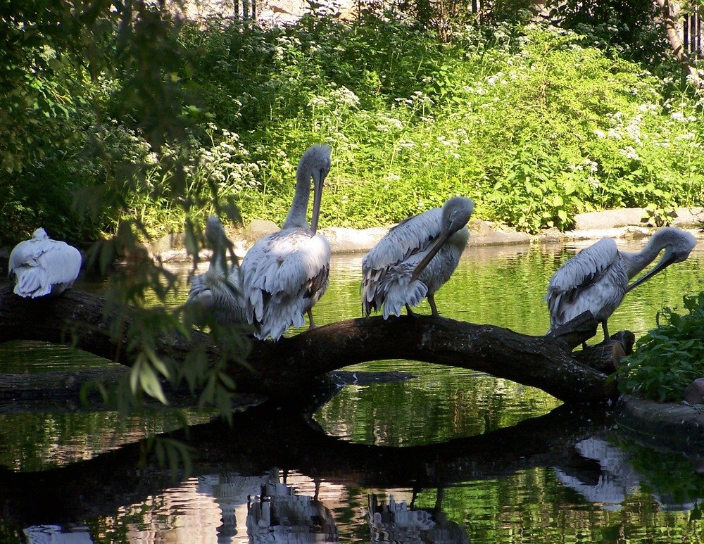 Photograph by Наталия