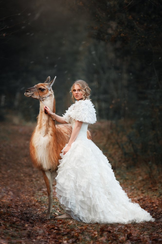 Photograph by Дарья Ералева