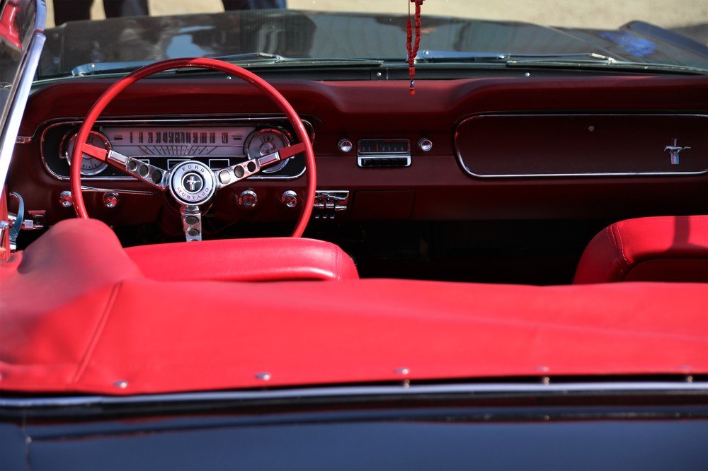 Photograph by Dinel Teodorescu