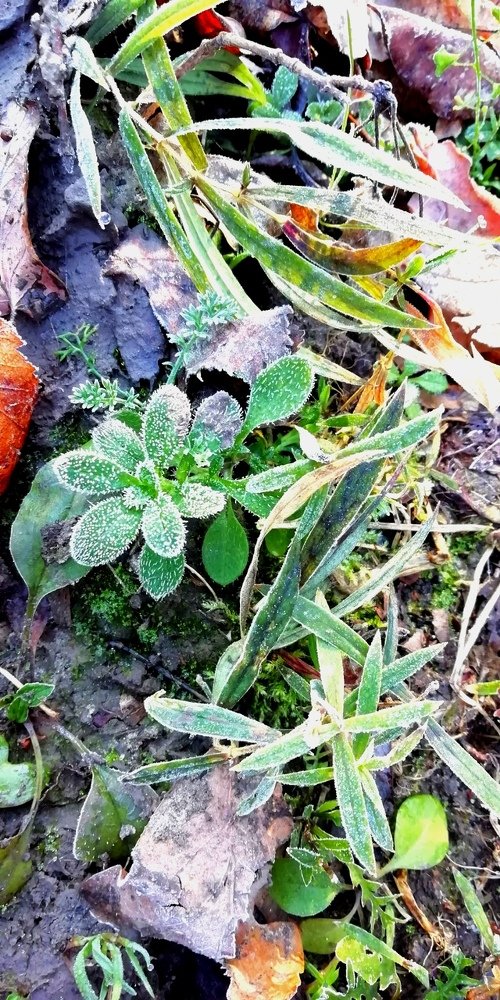 Photograph by Дмитрий