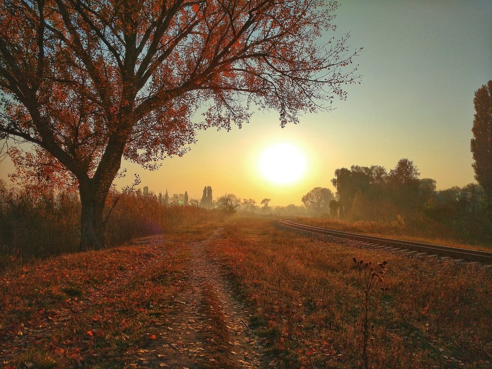 Осеннее утро