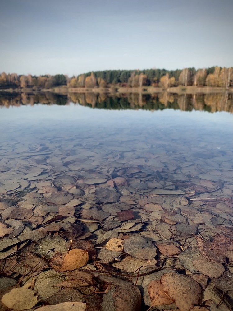 Осеннее зеркало