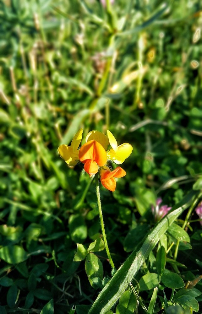 Photograph by Baha Ghaderi