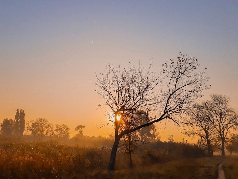 Утренний пейзаж