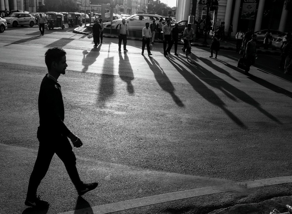 Silhouette and Shadow