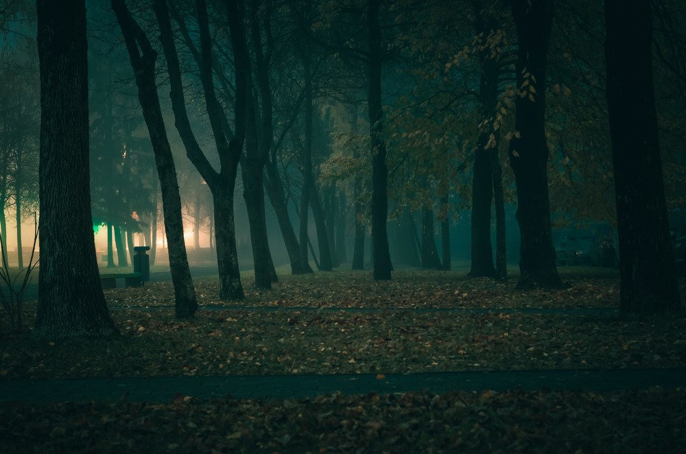 Photograph by Евгений Новицкий