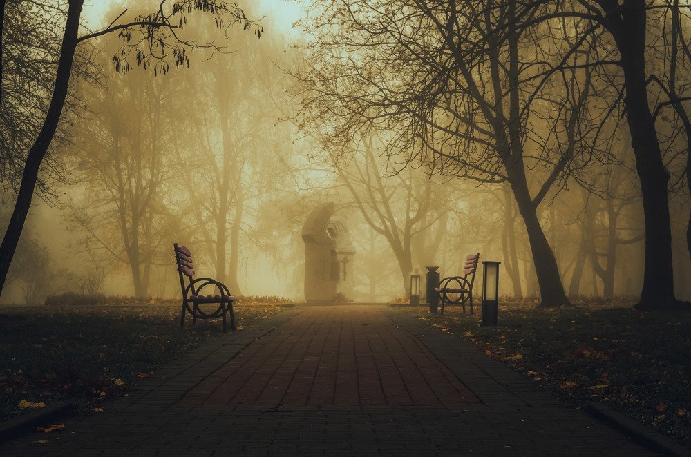 Photograph by Евгений Новицкий