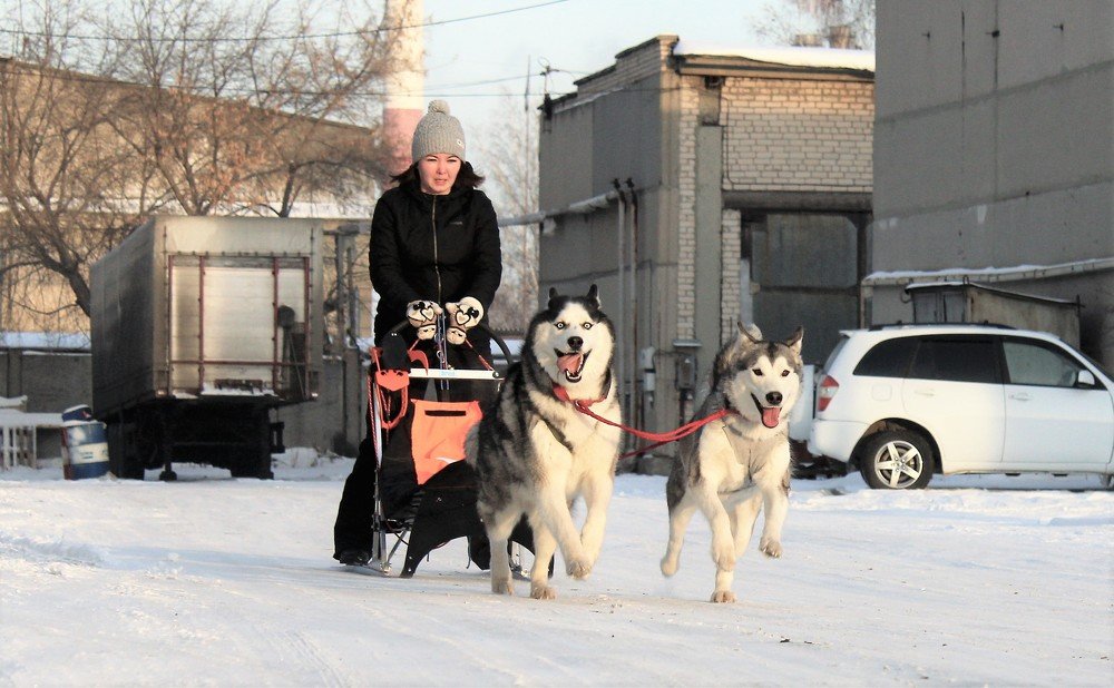 Photograph by Наталья Кучеренко