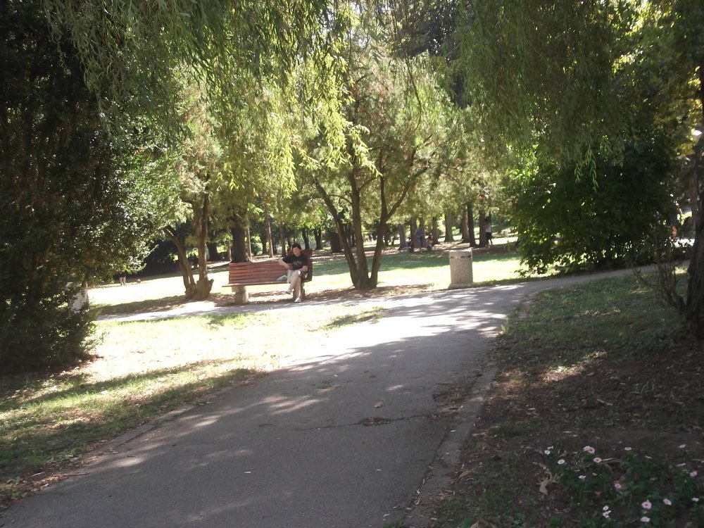 Фотография автора zivka ivanovic