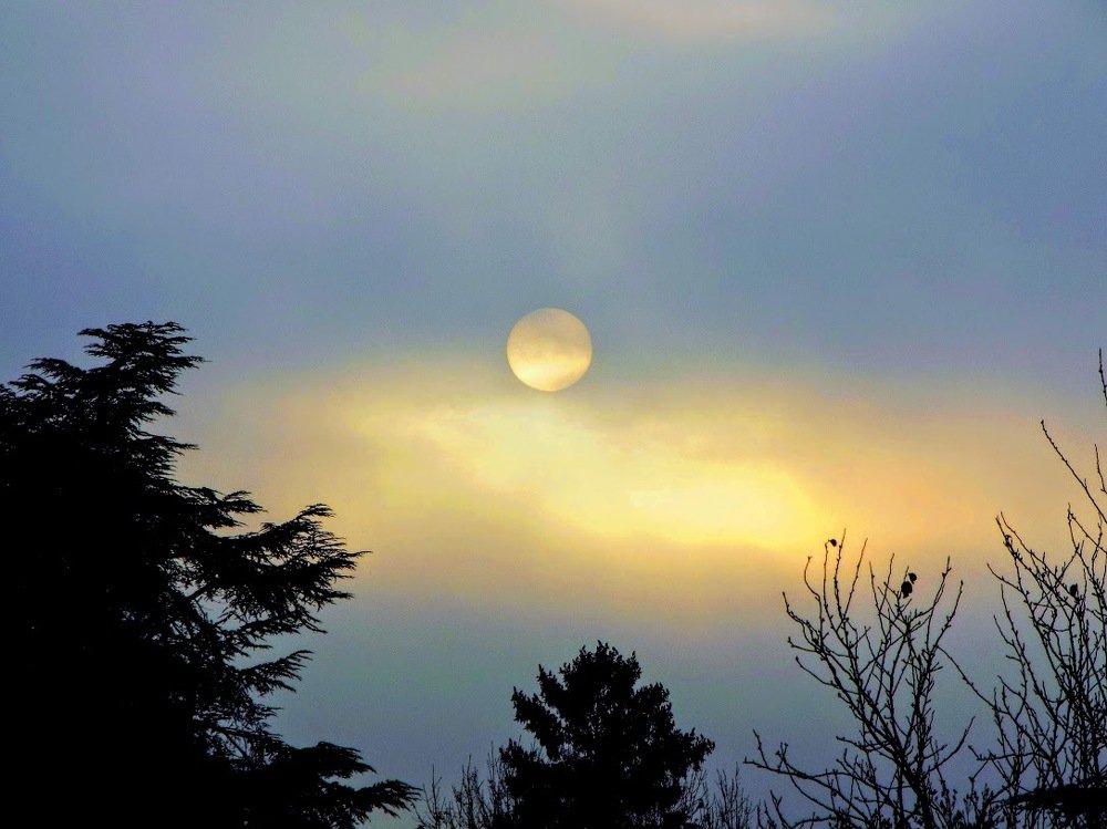 Photograph by brigitte amadio