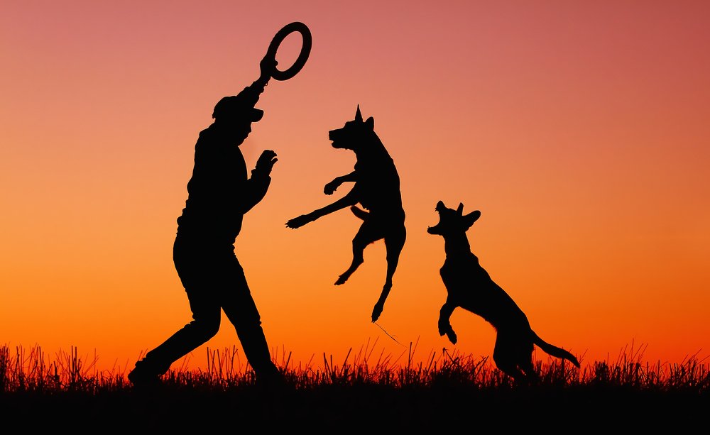 Игры на закате