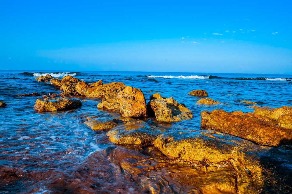 Photograph by Юрий Заставный