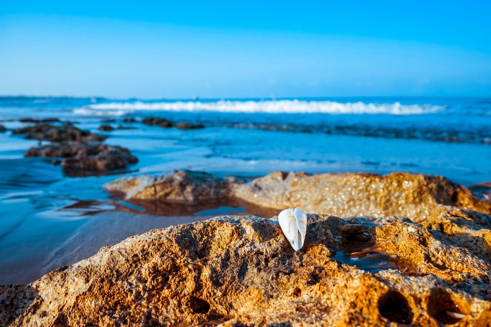 Photograph by Юрий Заставный