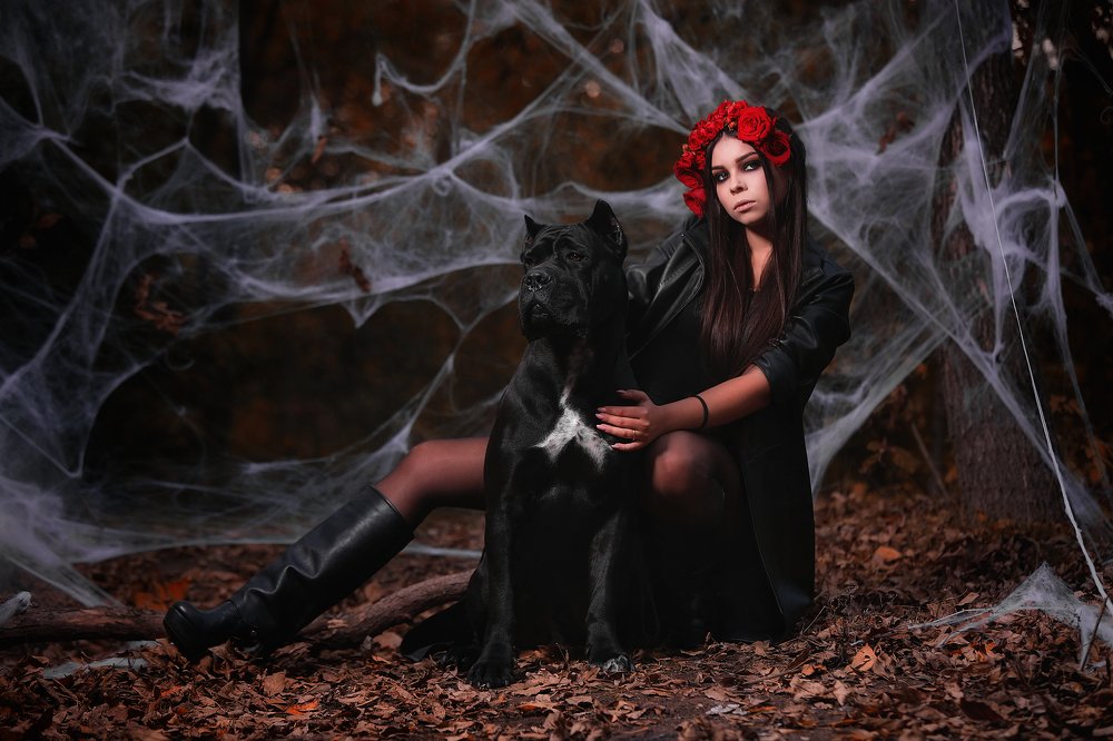 Photograph by Галина Ледок