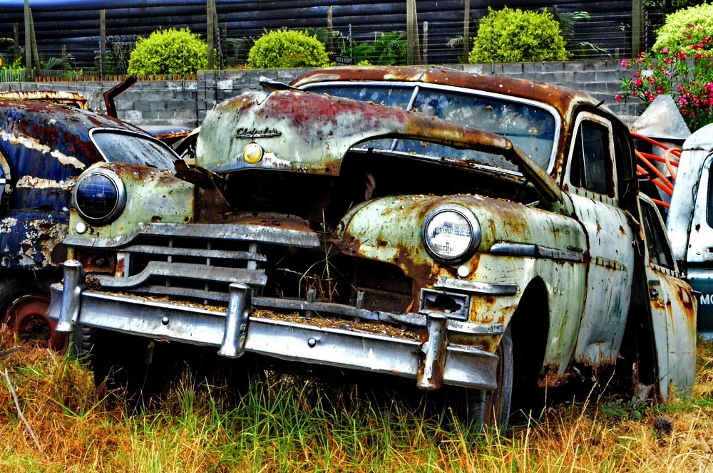 Photograph by Chris Venter