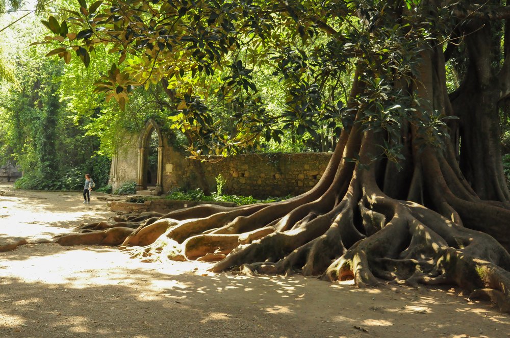 Photograph by Елена Никонова