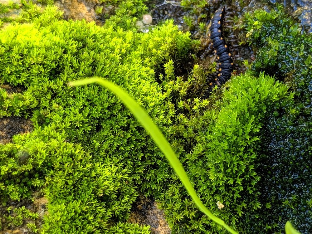 Photograph by Sai udeep sagar Yadalla