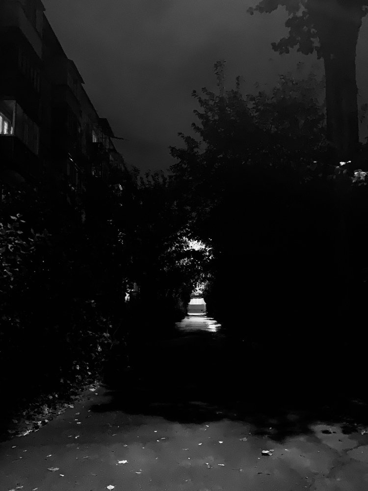 Photograph by Леонид Гроссман