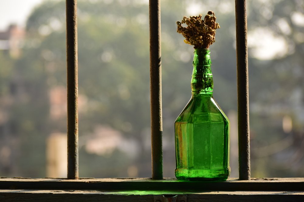 Photograph by shashiranjan prakash