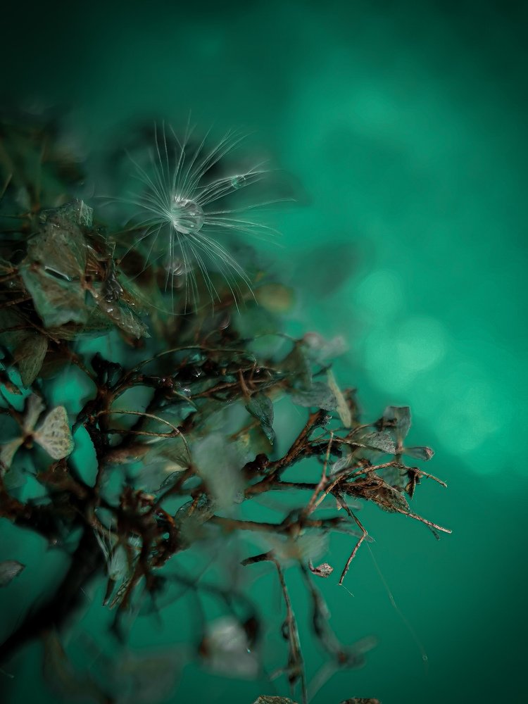 Photograph by Людмила Носова