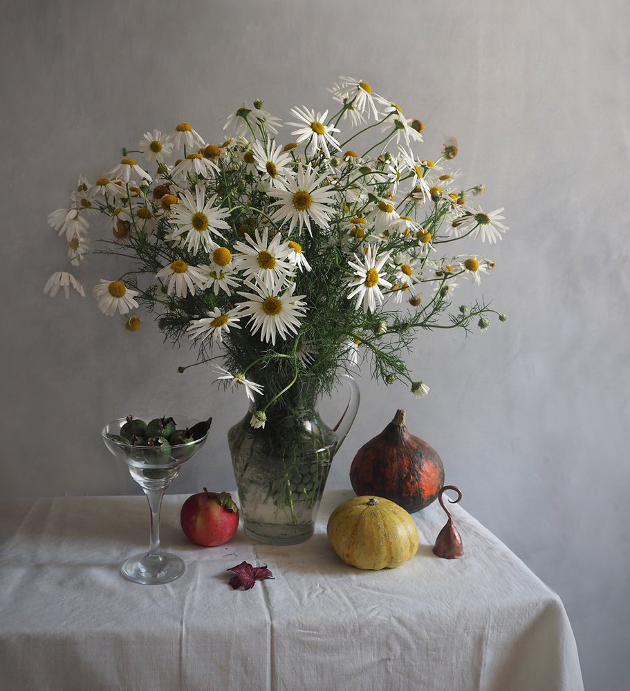 Полевые ромашки