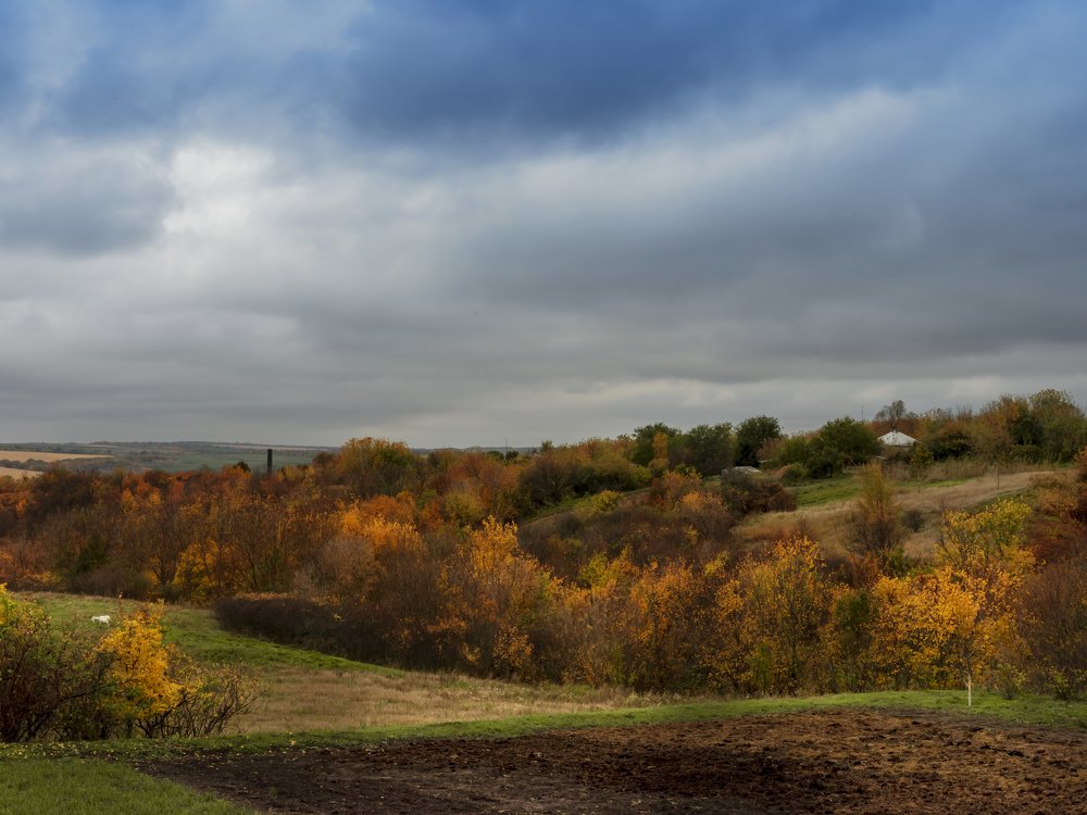 Photograph by Андрей Ляпин