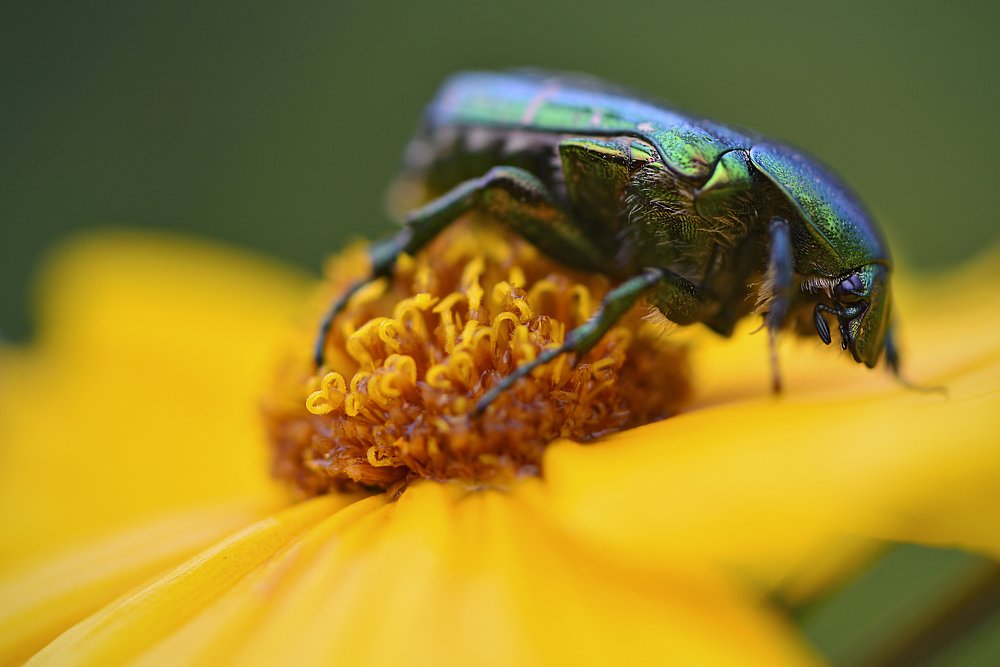 На солнечной