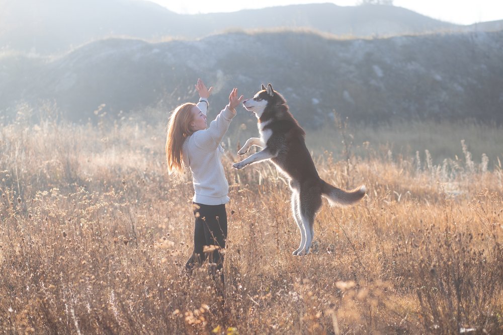 Photograph by Татьяна Некрылова