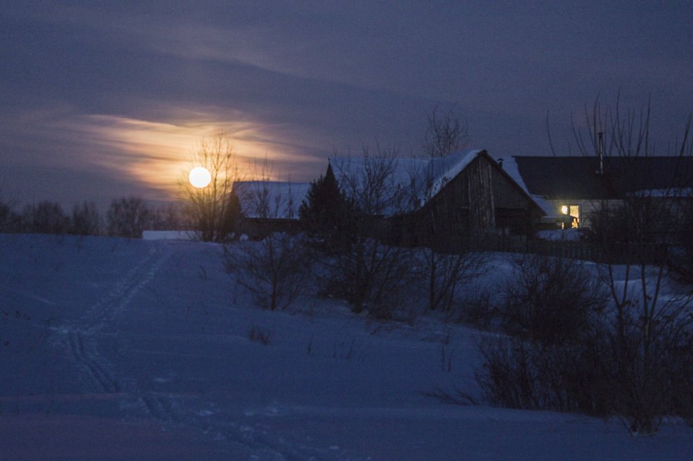 Фотография автора Галина Луценко