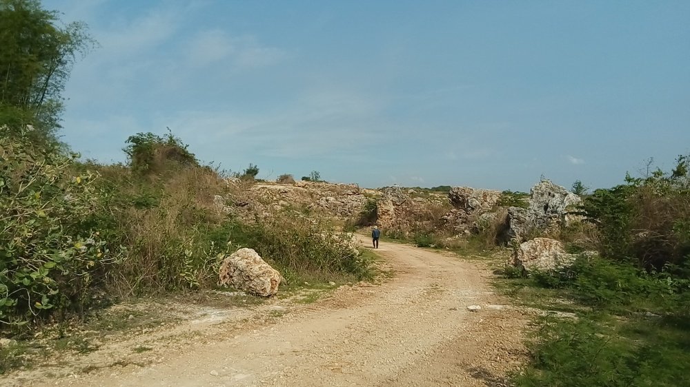 Photograph by @mashurphoto