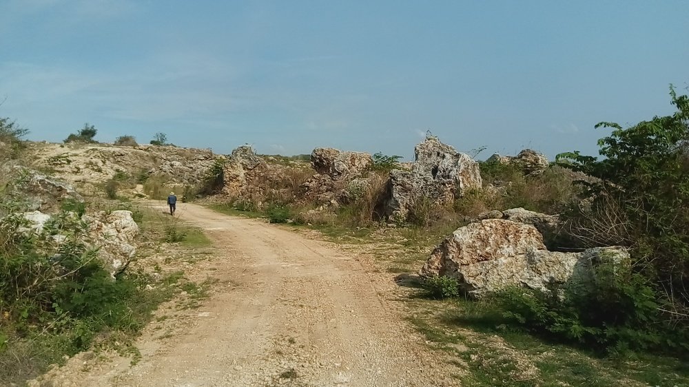 Photograph by @mashurphoto