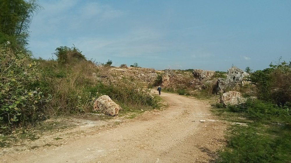 Photograph by @mashurphoto