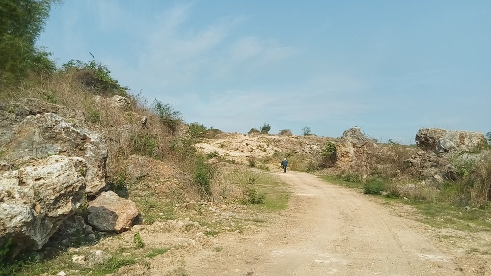 Photograph by @mashurphoto