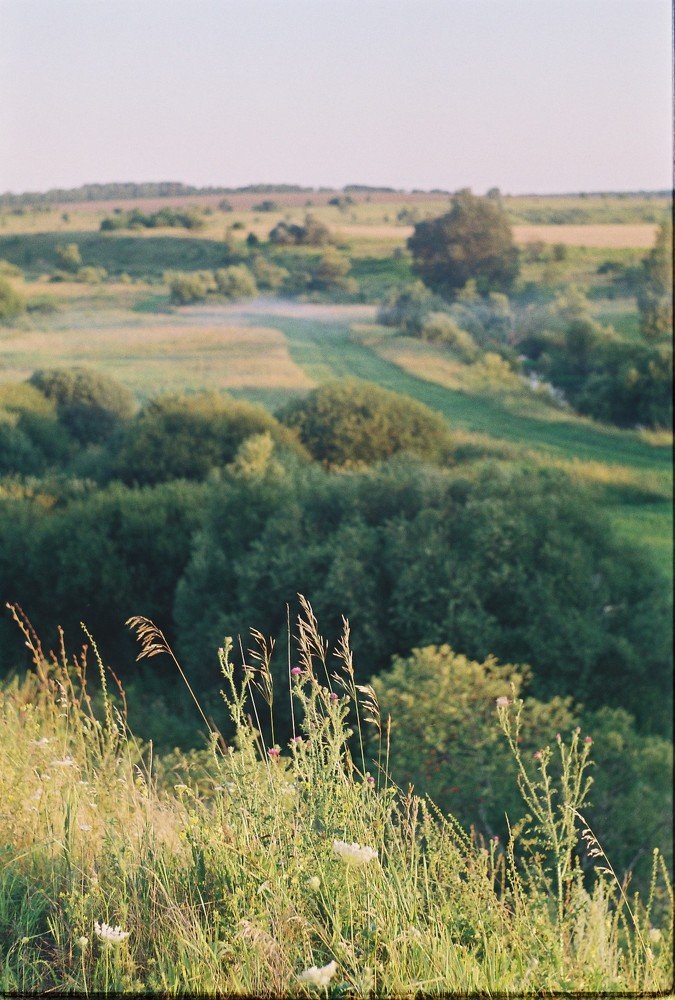 Photograph by Ольга