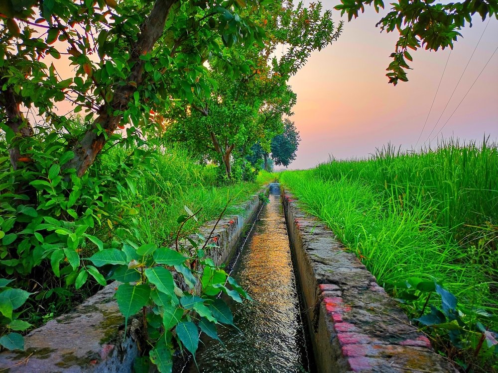 Photograph by Muhammad Tahir Awan AWAN