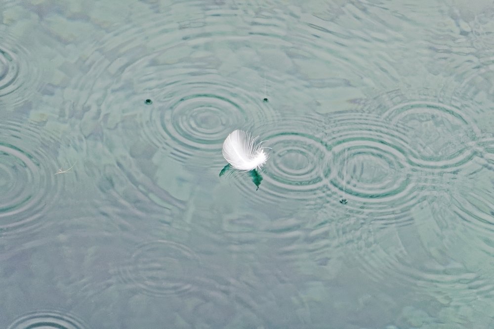 Feather and rain patterns on Leman