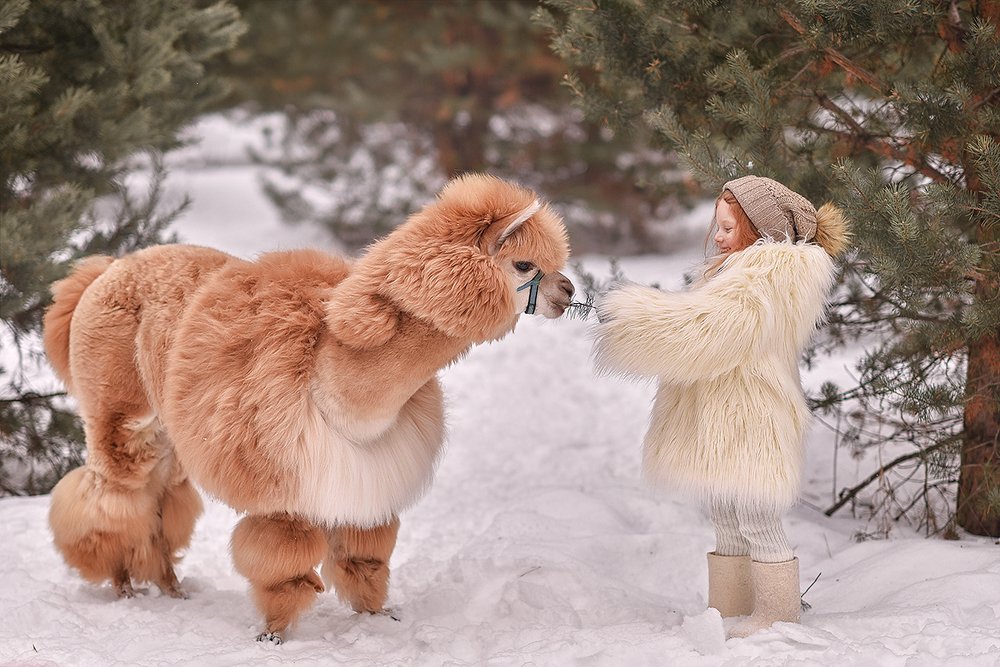 Невиданный зверь