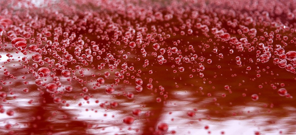 Photograph by Ирина Коденцева