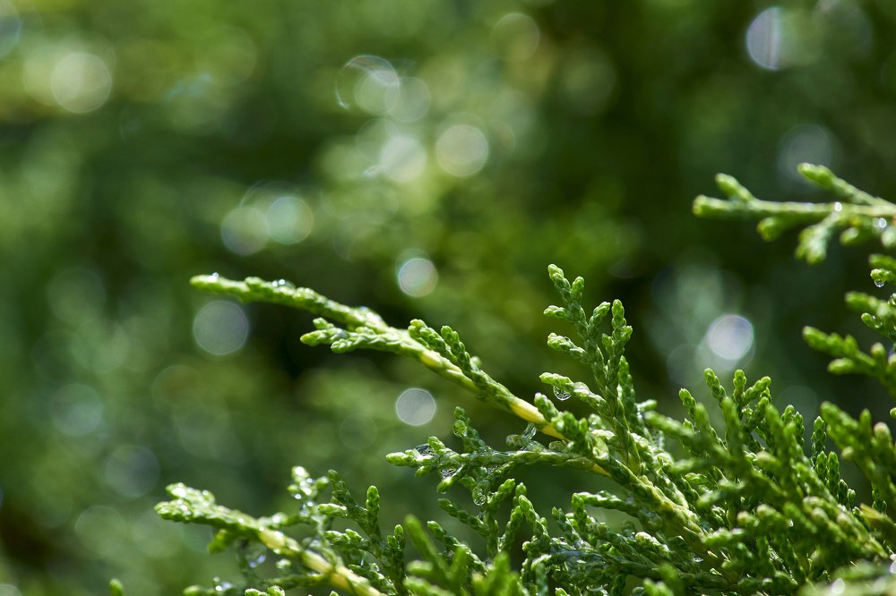 Photograph by Maslova Iryna