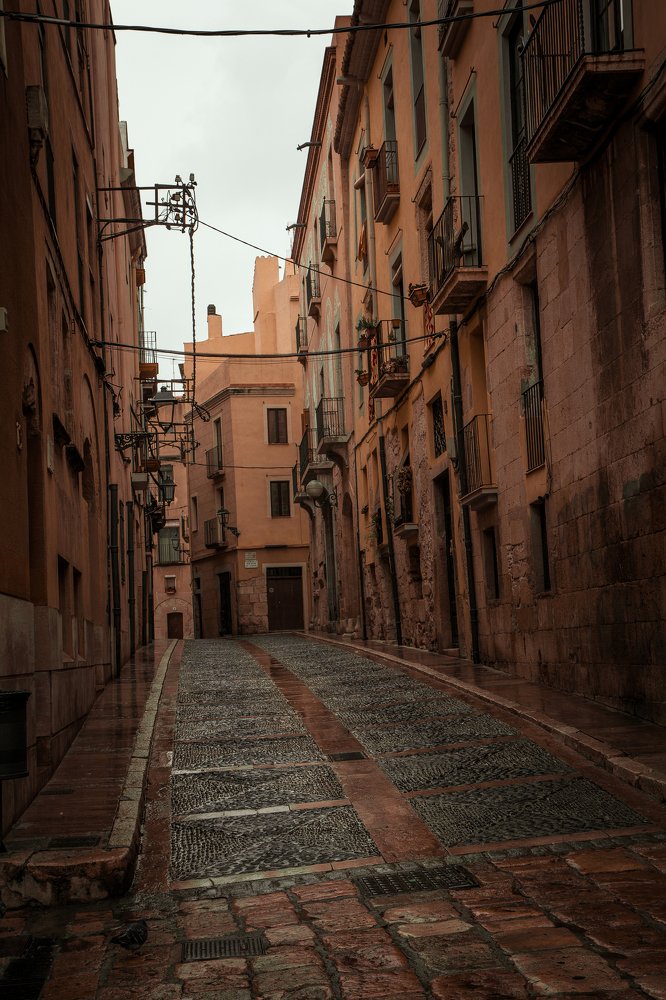 Фотография автора Елена Ельшина