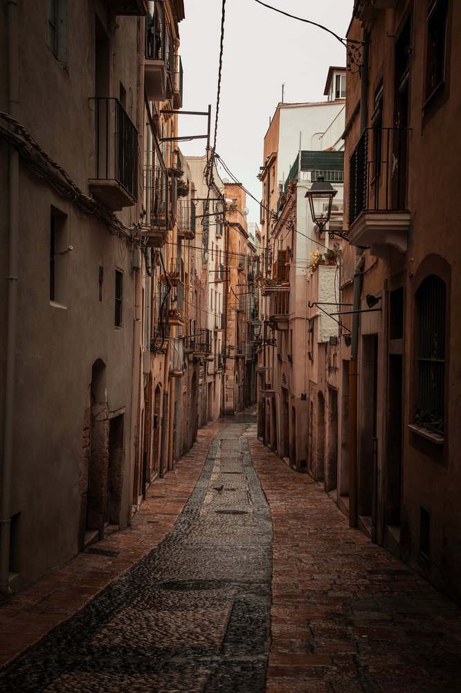 Фотография автора Елена Ельшина