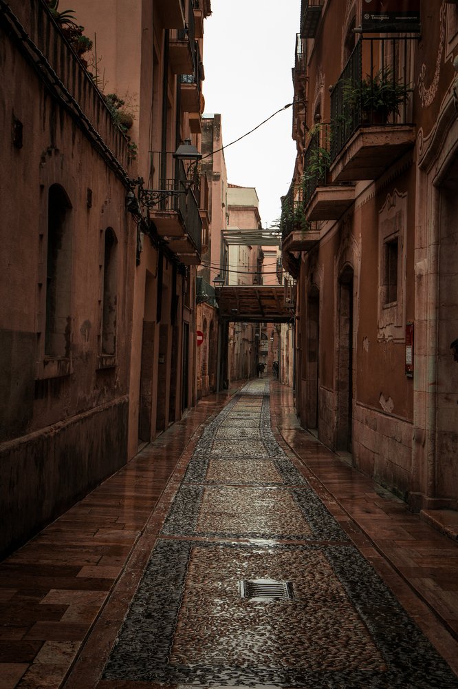 Photograph by Елена Ельшина