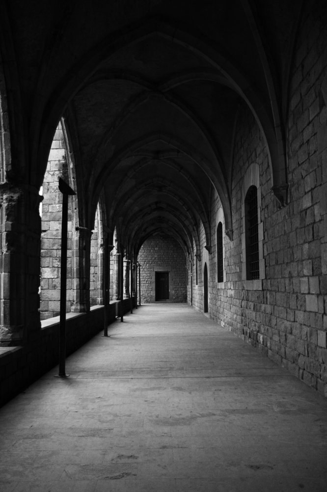 Фотография автора Елена Ельшина