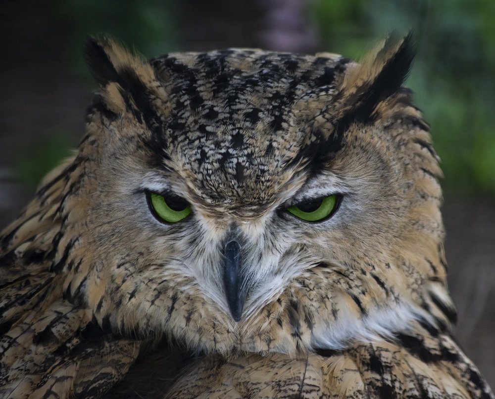 Photograph by Javad Allahyari