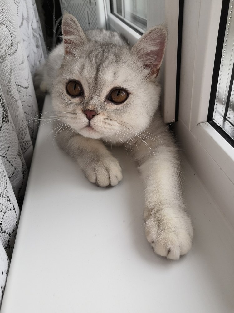 Photograph by Анастасия