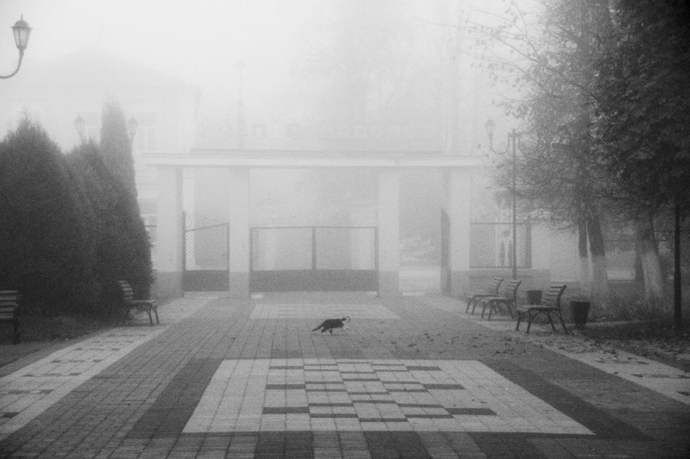 Photograph by Александр Карасев