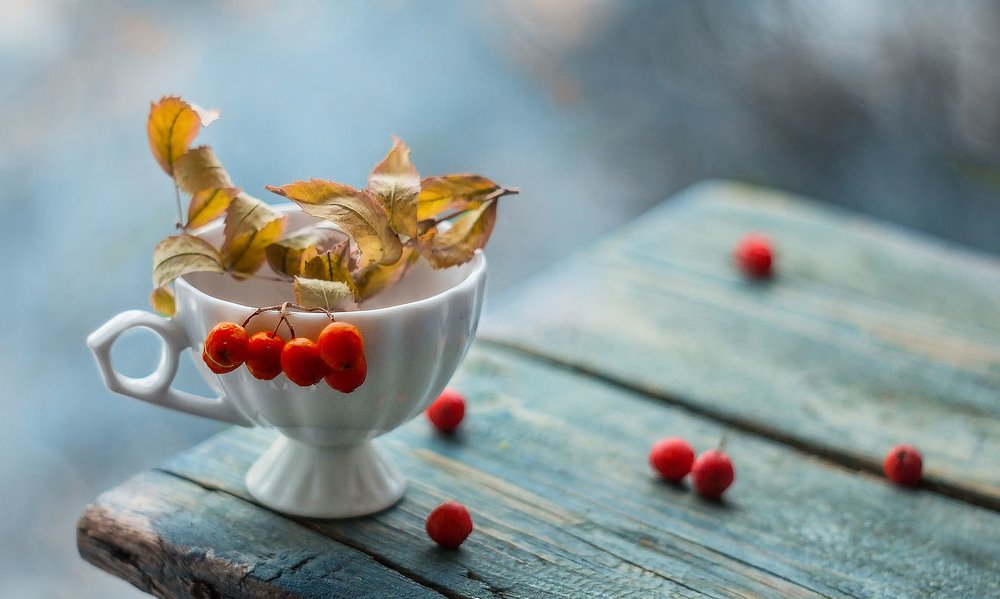 Photograph by Александра Шайдурова