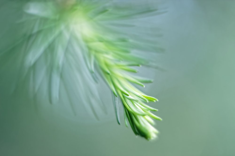 Photograph by Александр Савченко