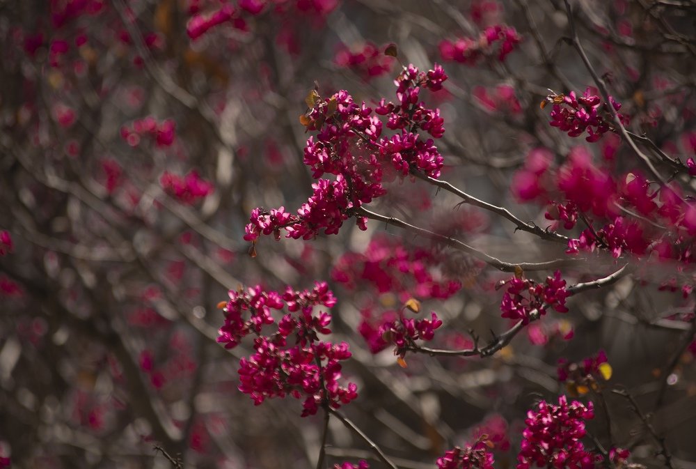 Photograph by Javad Allahyari